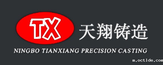 宁波天翔精密铸造有限公司